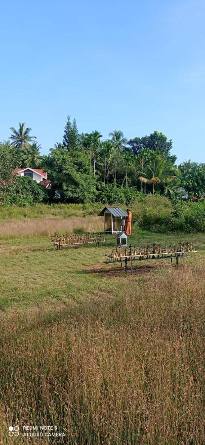 Narayanalayam-Vintage Retreat-Homestay & Rest'Inn Kannur Zewnętrze zdjęcie