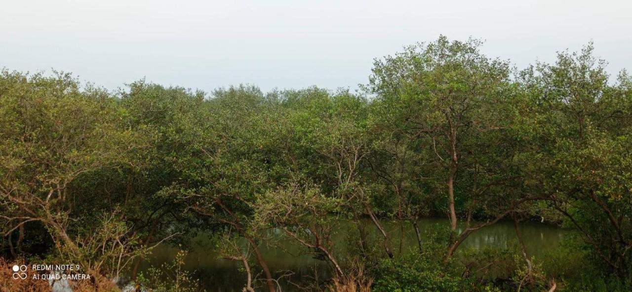 Narayanalayam-Vintage Retreat-Homestay & Rest'Inn Kannur Zewnętrze zdjęcie