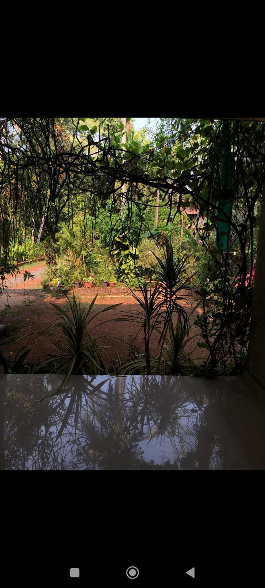 Narayanalayam-Vintage Retreat-Homestay & Rest'Inn Kannur Zewnętrze zdjęcie